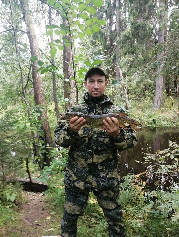 ���������� �����-���������, ���� ������� �������, 51 ���, ������������ ��� c�������� ���������