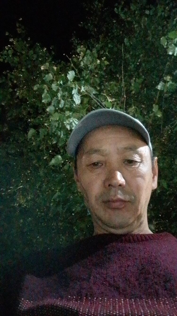  45306465  , 46 ,    -