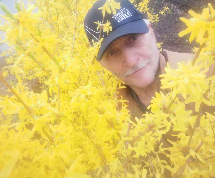 ���� 55983695 ������� �������, 59 ���, ���� ���������� � ������