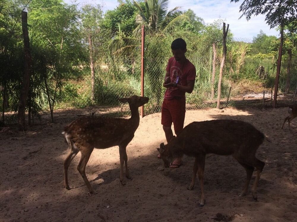 ���������� �����������, ���� ������� ����, 36 ���, ������������ ��� ������, ����� � ���������, c�������� ���������