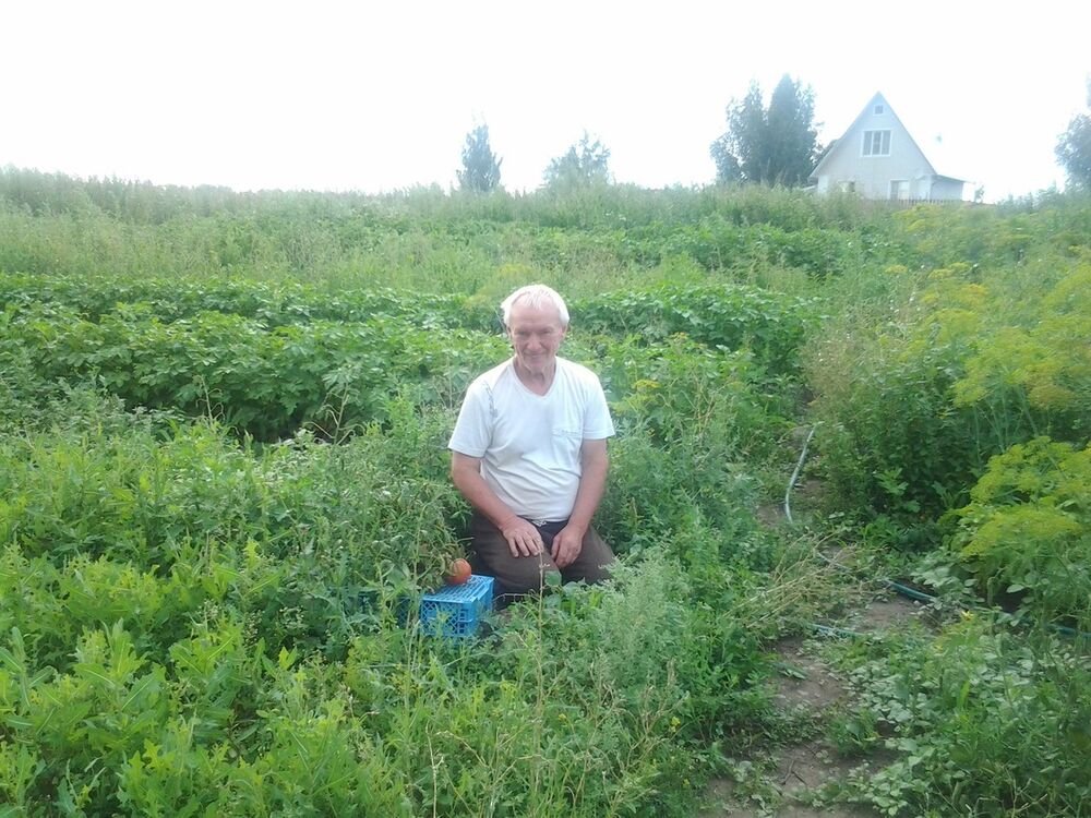 ���������� ������, ���� ������� ��������, 72 ����, ������������ ��� ������, ����� � ���������, c�������� ���������