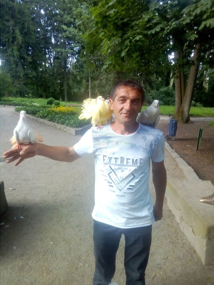   ,   , 54 ,     , c , 