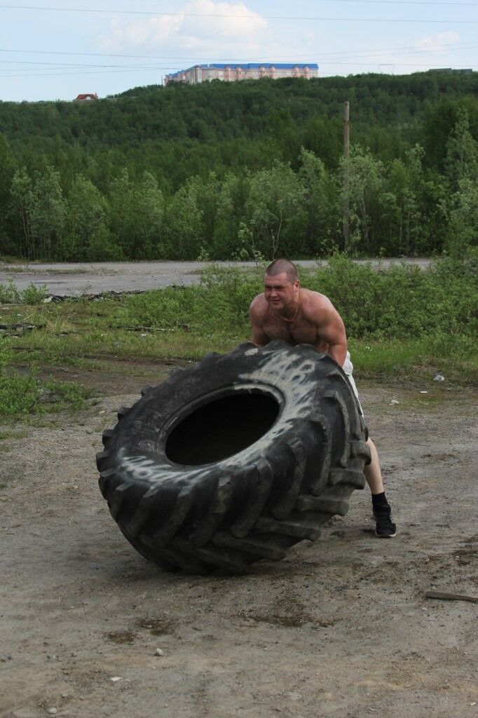 ���� 17569335 ������� ���������, 40 ���, ���� ���������� � ���������