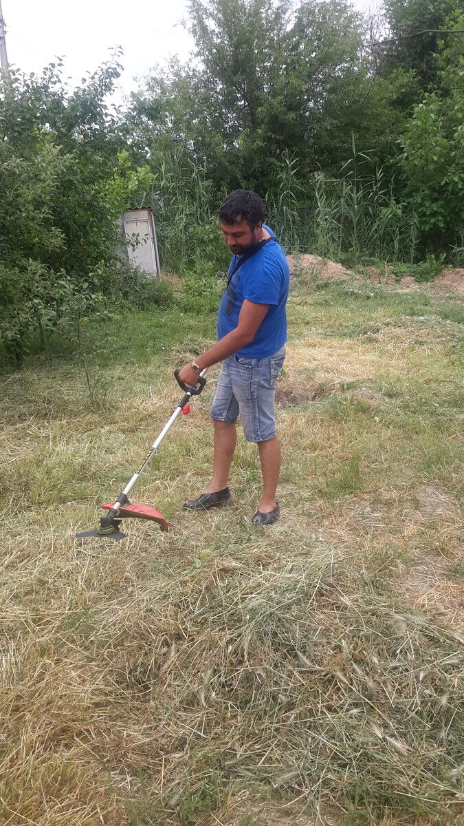 ���� 11846255 ������� ������, 45 ���, ���� ���������� � ��������