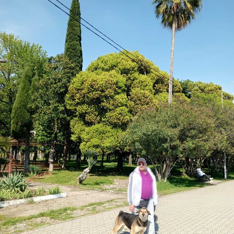  ,   , 50 ,   ,   