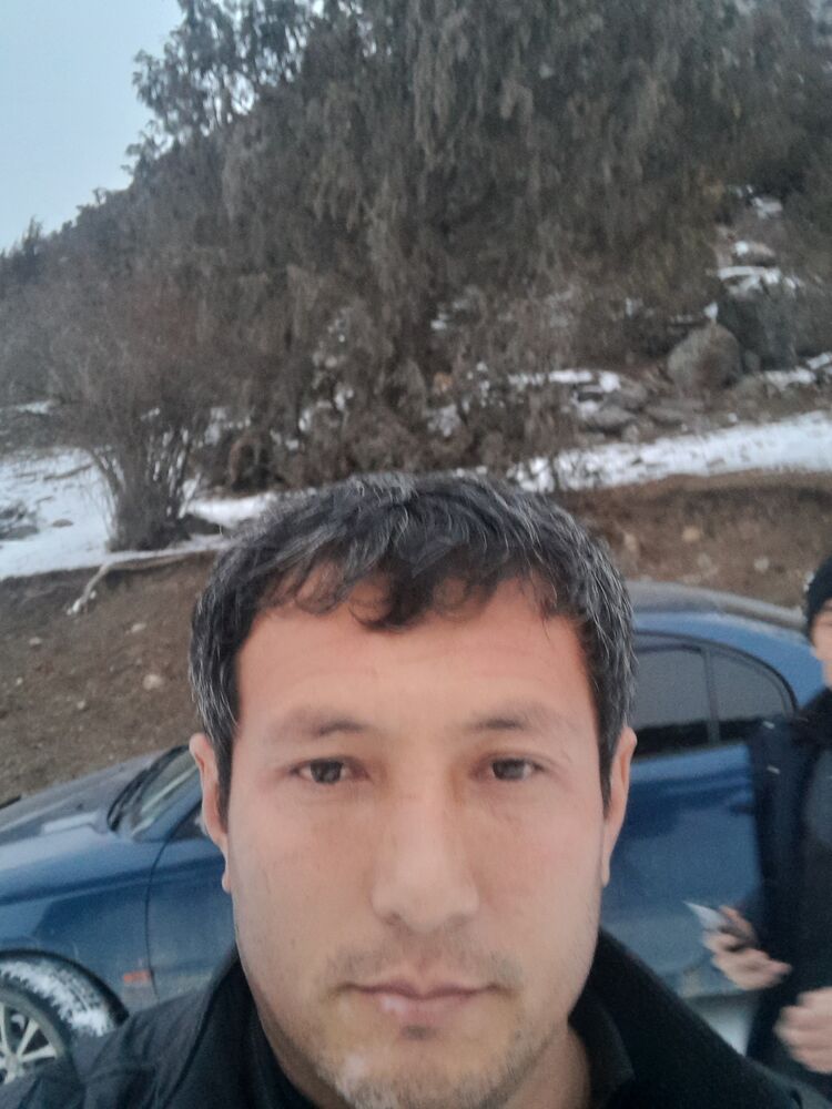  46277495  , 43 ,    