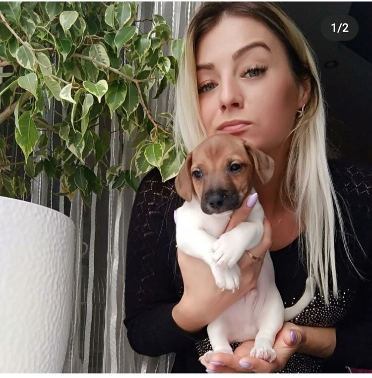 ���������� �����, ���� ������� ������, 39 ���, ������������ 