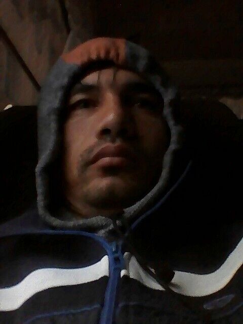  50809765  , 31 ,    