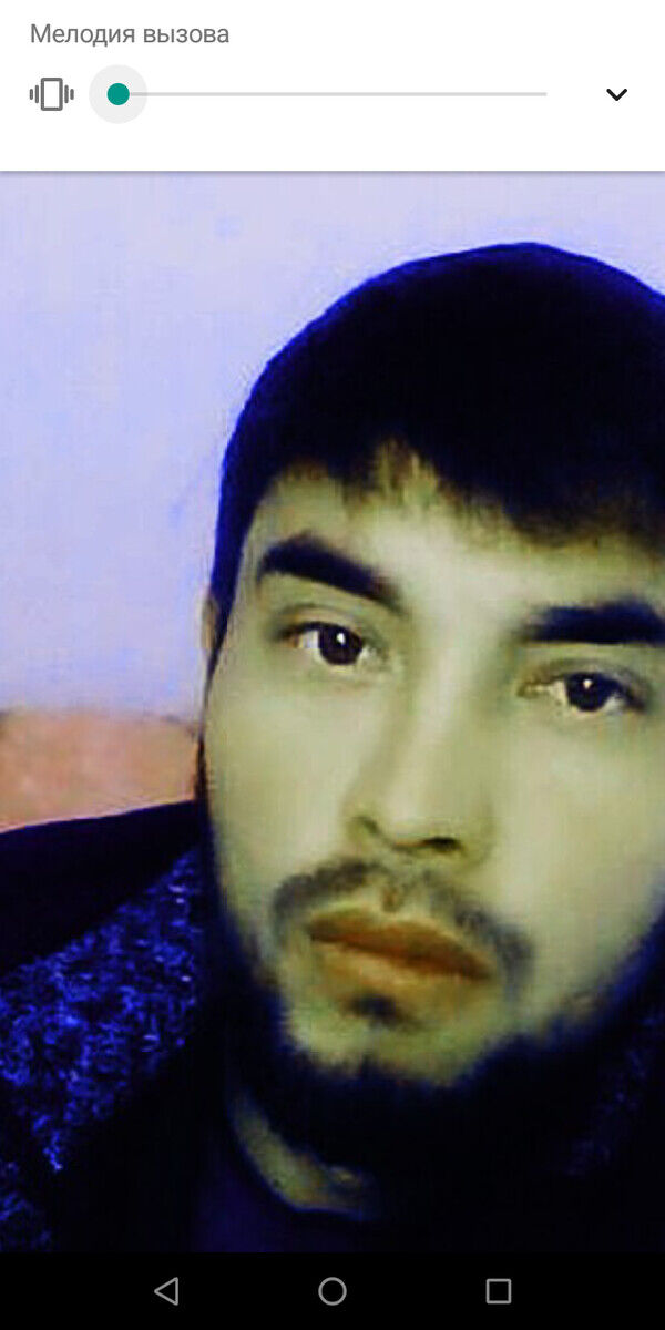  ,   Bek, 33 ,   ,   , c 