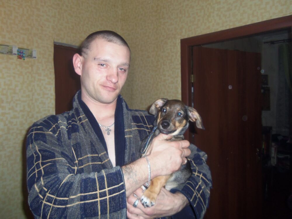 ���������� �����-���������, ���� ������� ���2014, 44 ����, ������������ ��� ������