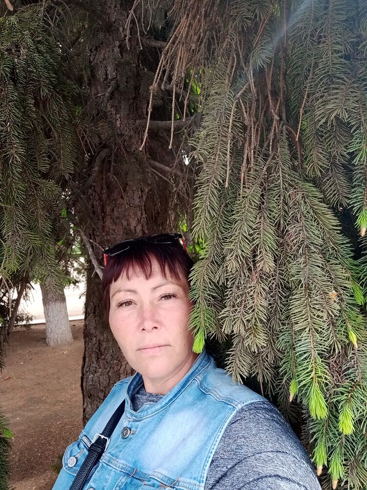  35569485  , 41 ,    