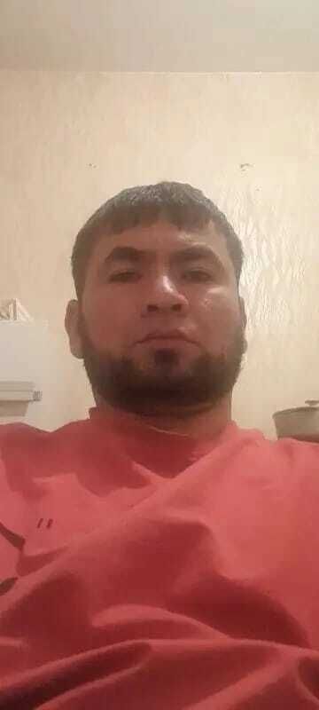  47875175  , 41 ,    