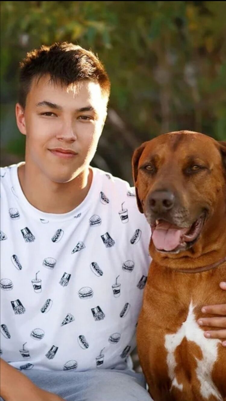 ���� 24247615 ������� �������, 27 ���, ���� ���������� � ���������