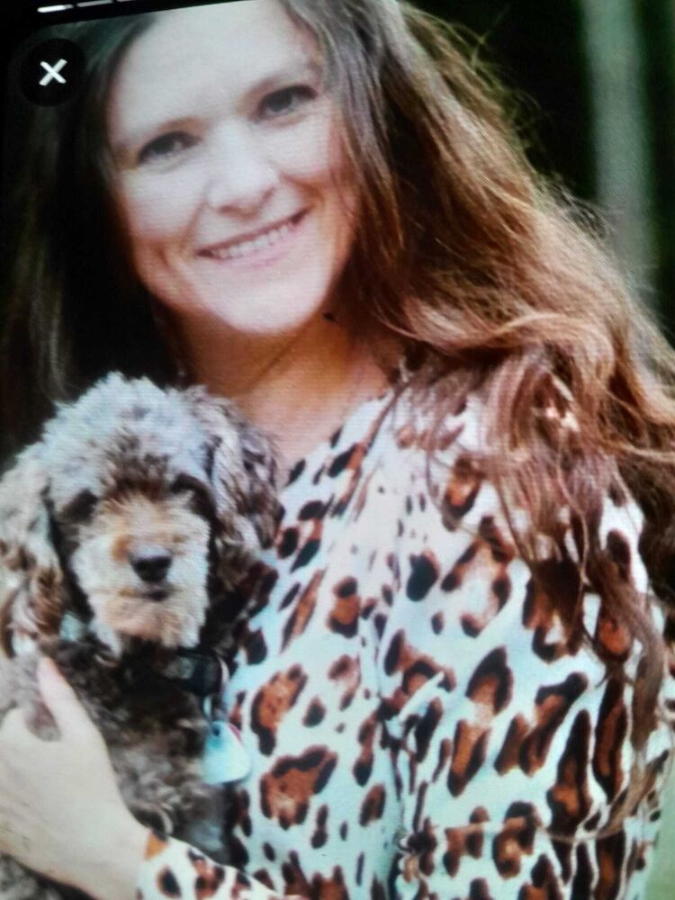 ���� 51261845 ������� ���, 48 ���, ���� ���������� � ������