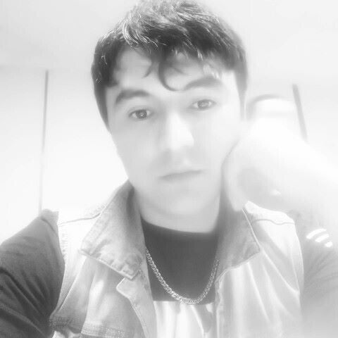 ���� 20903205 ������� ������, 33 ����, ���� ���������� � ������