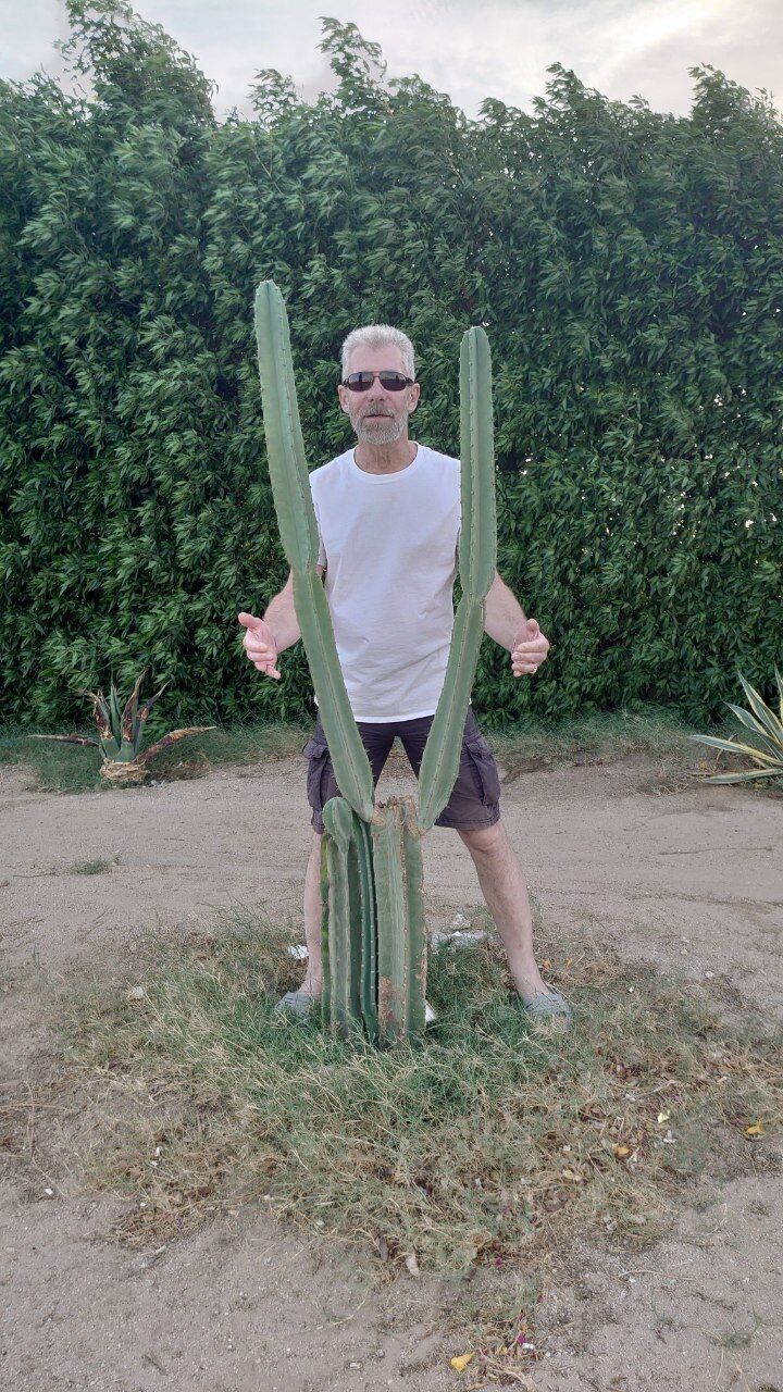 ���� 55772655 ������� �������, 60 ���, ���� ���������� � ����