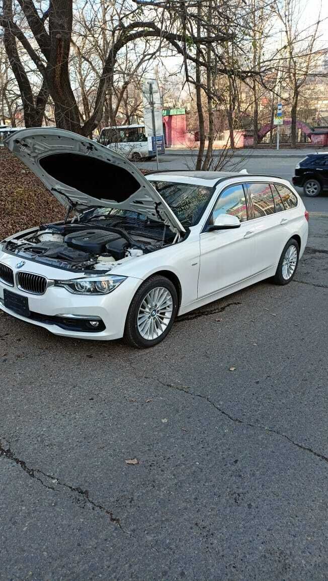  39779135  , 36 ,    