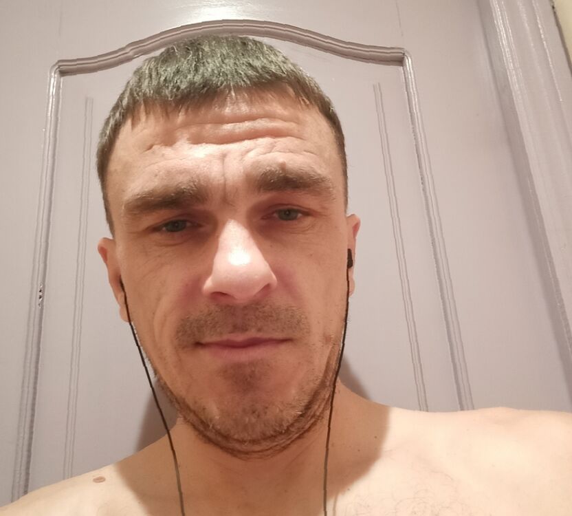  40367085  , 41 ,    