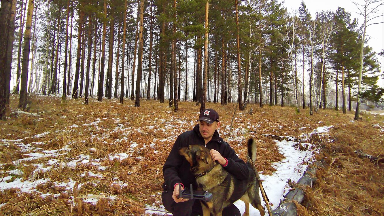 ���� 30567415 ������� �������, 43 ����, ���� ���������� � ��������