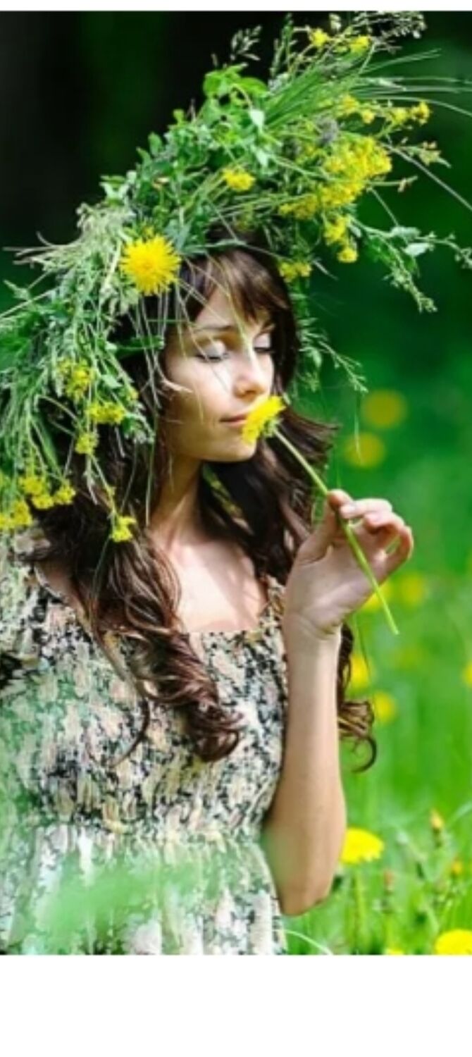 ���� 51437615 ������� Angelina, 47 ���, ���� ���������� � ��������