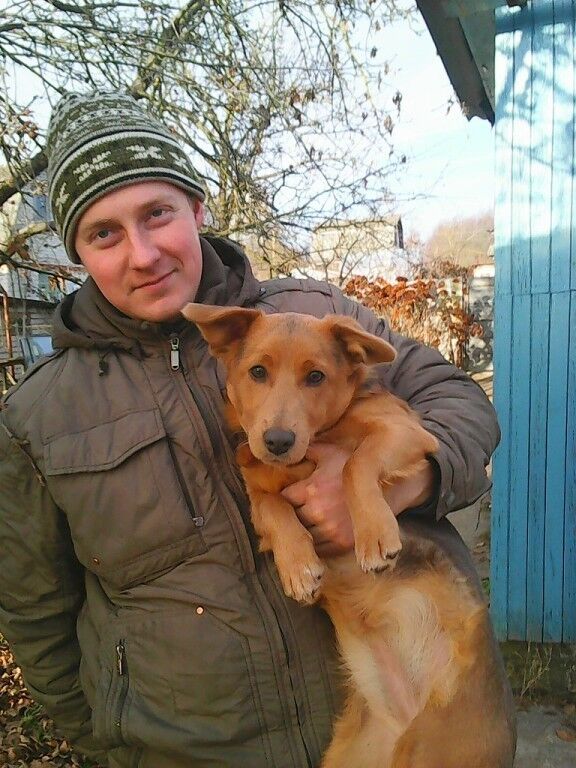 ���������� ������, ���� ������� ����, 33 ����, ������������ ��� ������, ����� � ���������, c�������� ���������