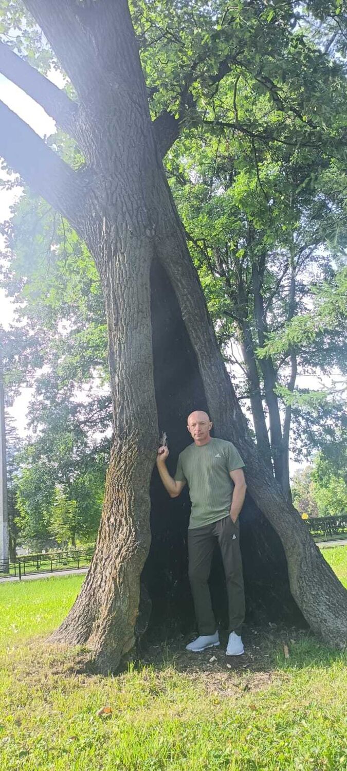  -,   , 47 ,   ,   