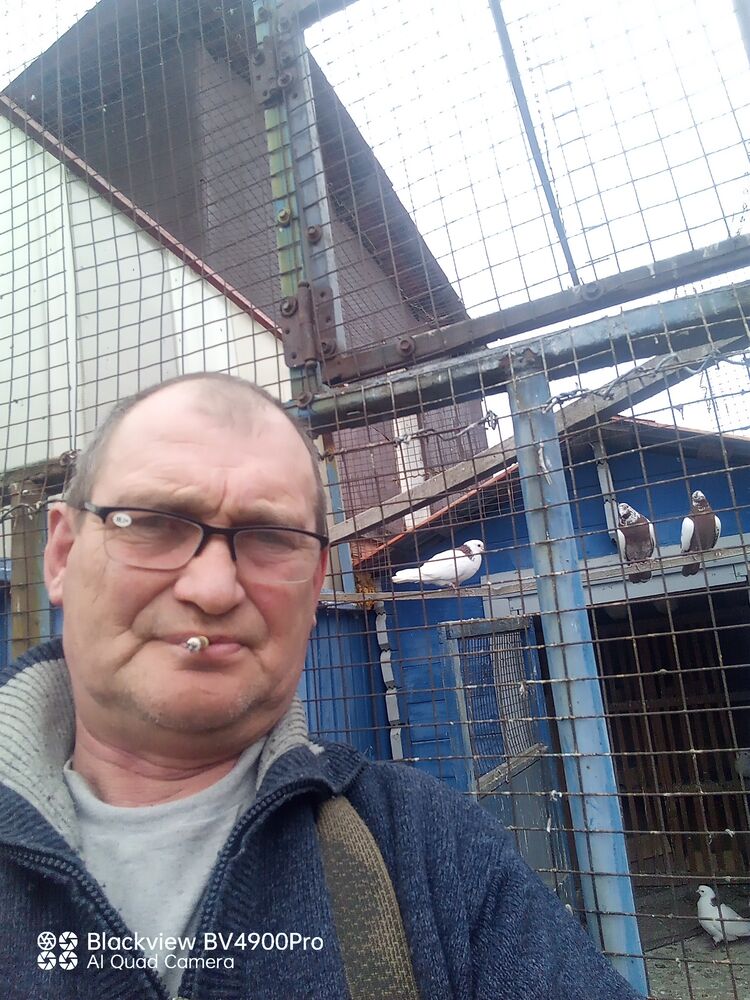  ,   , 55 ,     