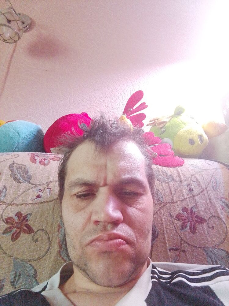  50451665  , 41 ,    -