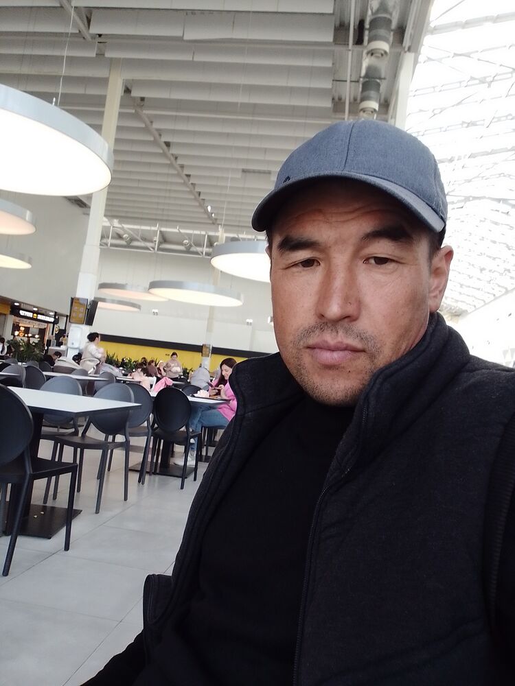  46415225  , 43 ,    -