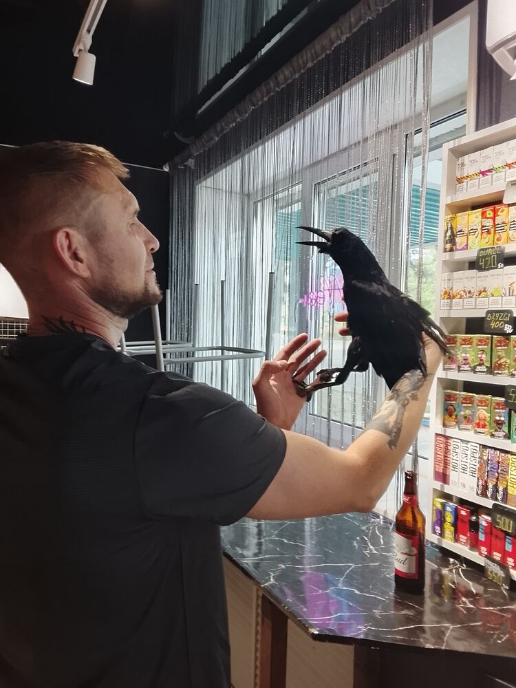 ���� 55270065 ������� ������, 39 ���, ���� ���������� � �������-�������