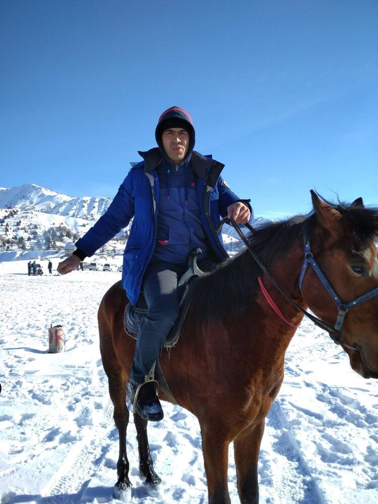 ���� 24028705 ������� Alik, 38 ���, ���� ���������� � ��������