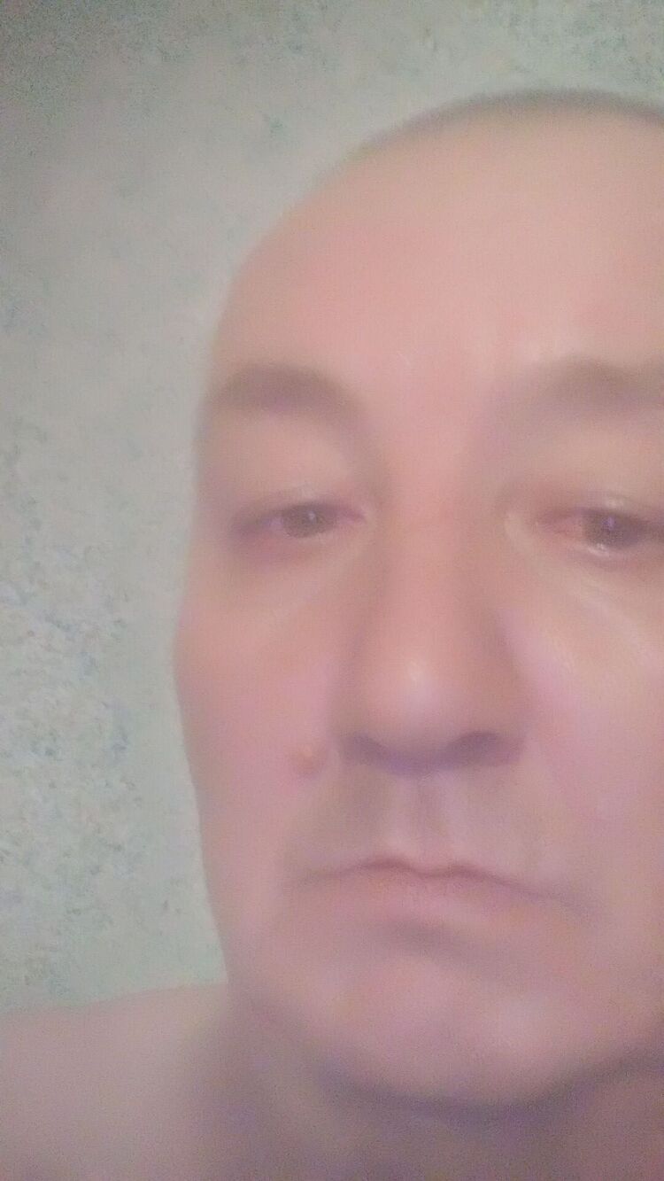  44663595  , 55 ,    
