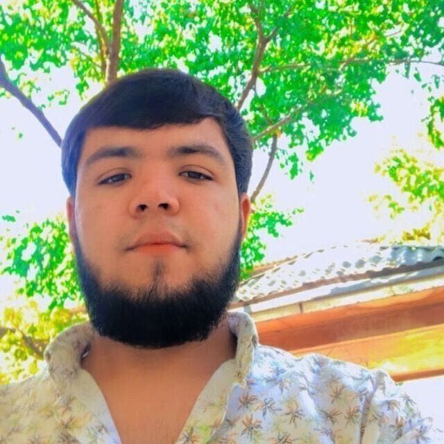 ���� 43587185 ����� ��������, 24 ����, ���� ���������� � ��������