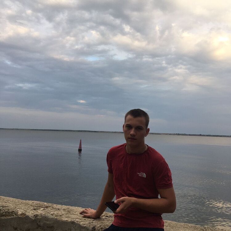  31136775  , 25 ,    