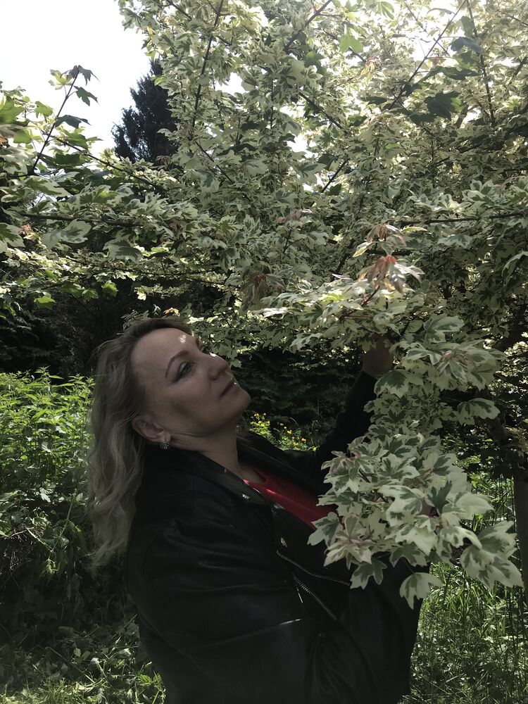 ���� 54625615 ������� �����, 48 ���, ���� ���������� � �����������