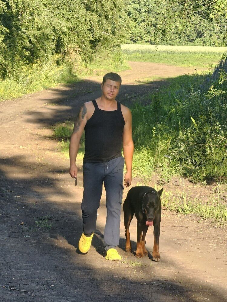  52785655  , 40 ,    