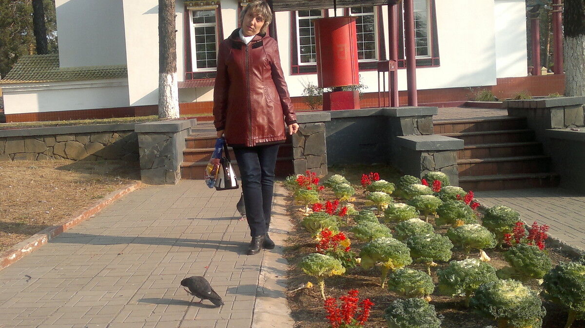 ���������� ����, ���� ������� �������, 50 ���, ������������ ��� ������, ����� � ���������, c�������� ���������