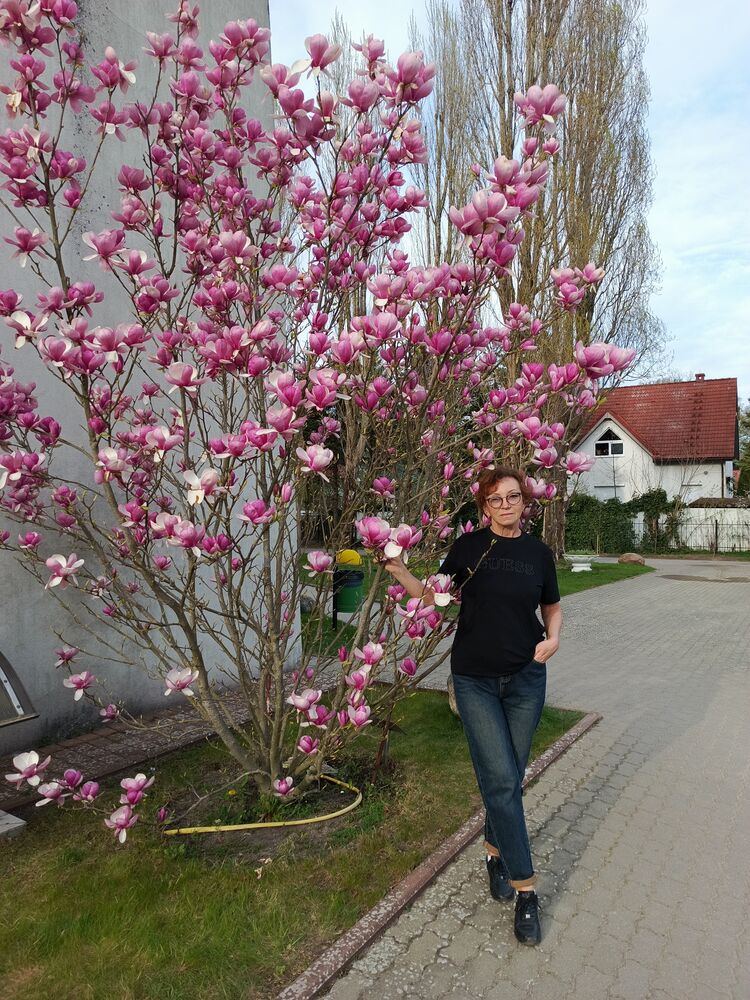  54697425  , 59 ,    -