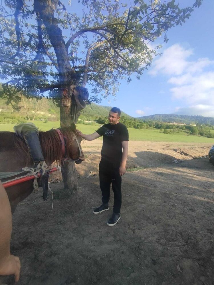 ���� 55003475 ������� Elmar, 31 ���, ���� ���������� � ���������