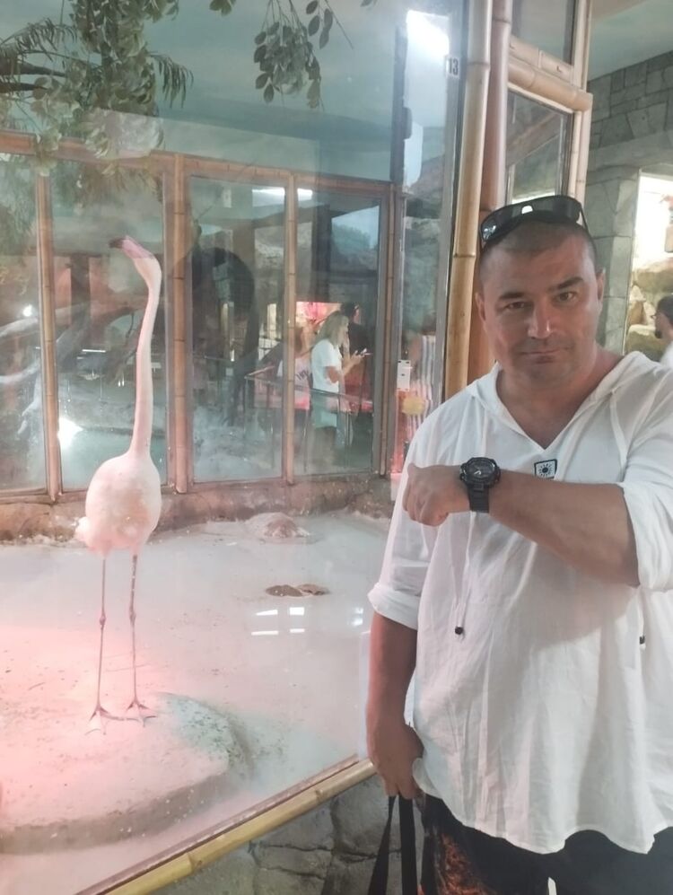 ���� 56135775 ������� ˸��, 46 ���, ���� ���������� � ������ ������