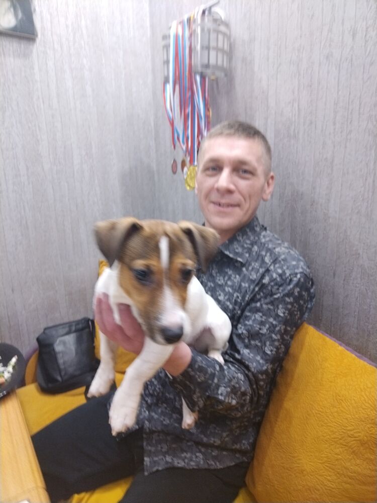 ���� 25143065 ������� ������, 44 ����, ���� ���������� � �����-����������