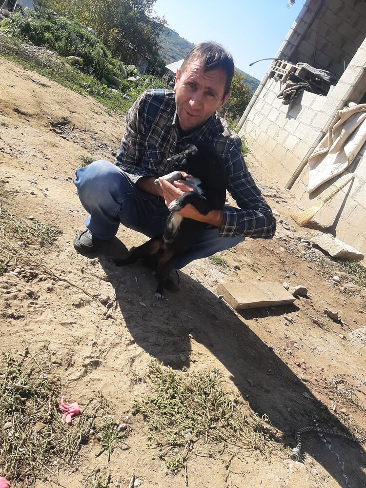 ���� 31902405 ������� Andrei, 39 ���, ���� ���������� � ��������