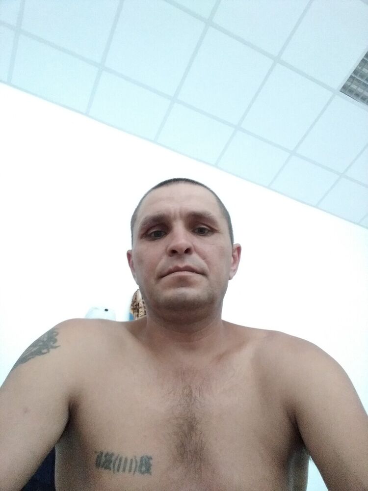  20388205  , 43 ,    