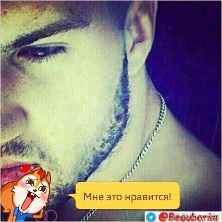  50381805  , 34 ,    