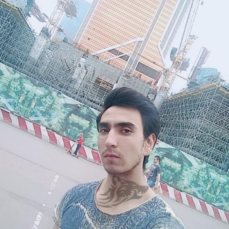 ���� 33054165 ������� Bayjan, 28 ���, ���� ���������� � ������