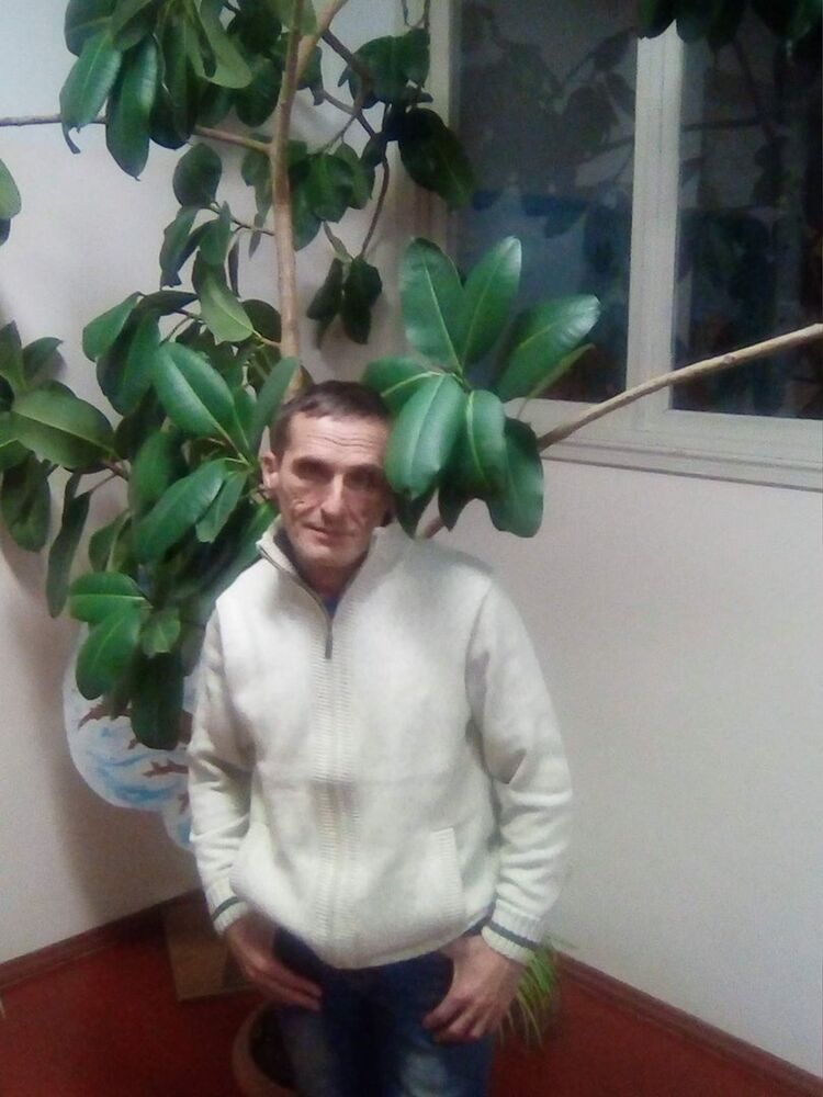 ���� 52179365 ������� ����, 66 ���, ���� ���������� � ������