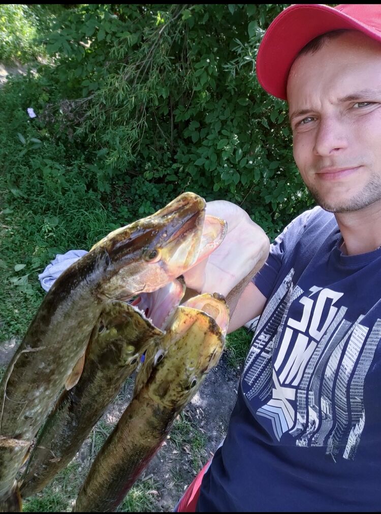 ���� 49657815 ������� ������, 29 ���, ���� ���������� � �����