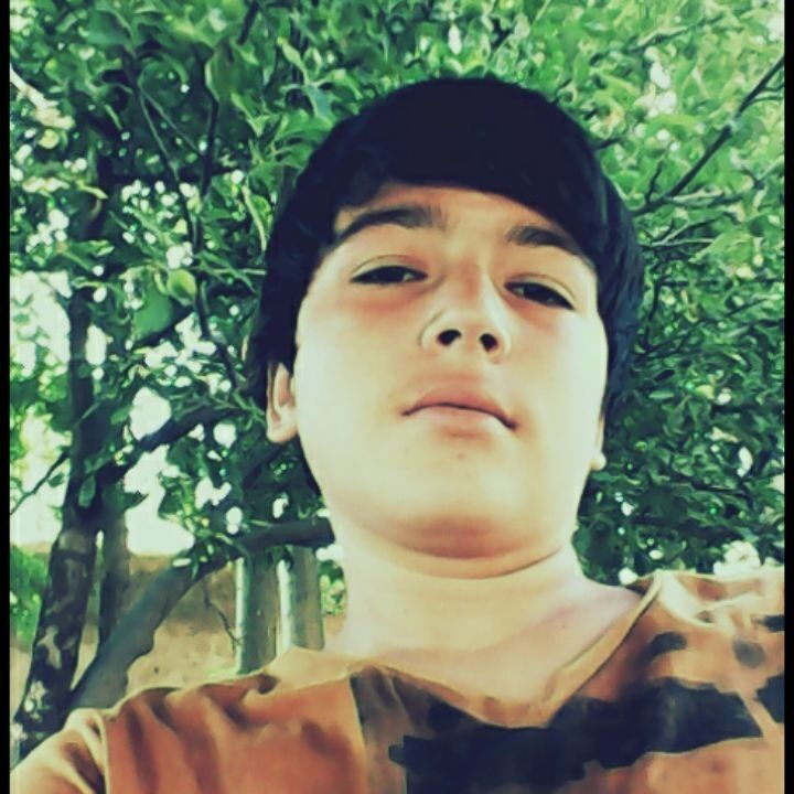 ���� 5490215 ������� Samandar, 30 ���, ���� ���������� � �������