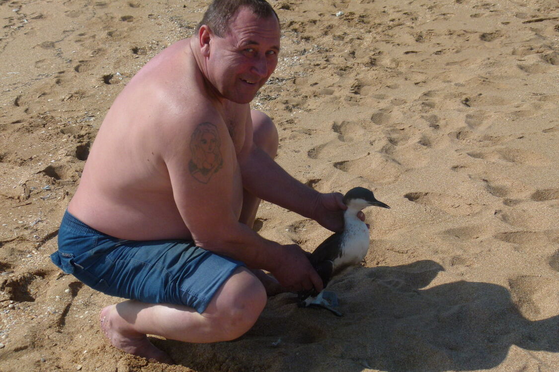 ���� 9414785 ������� ����, 55 ���, ���� ���������� � ����������