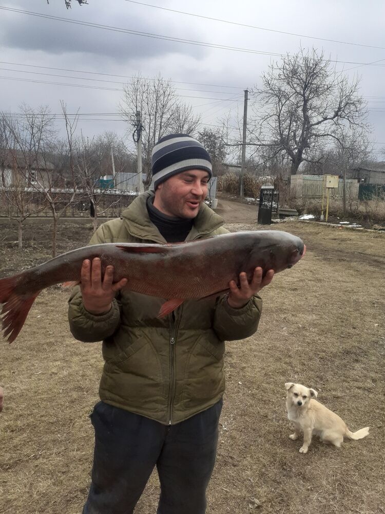  39239535  Andrei, 38 ,    
